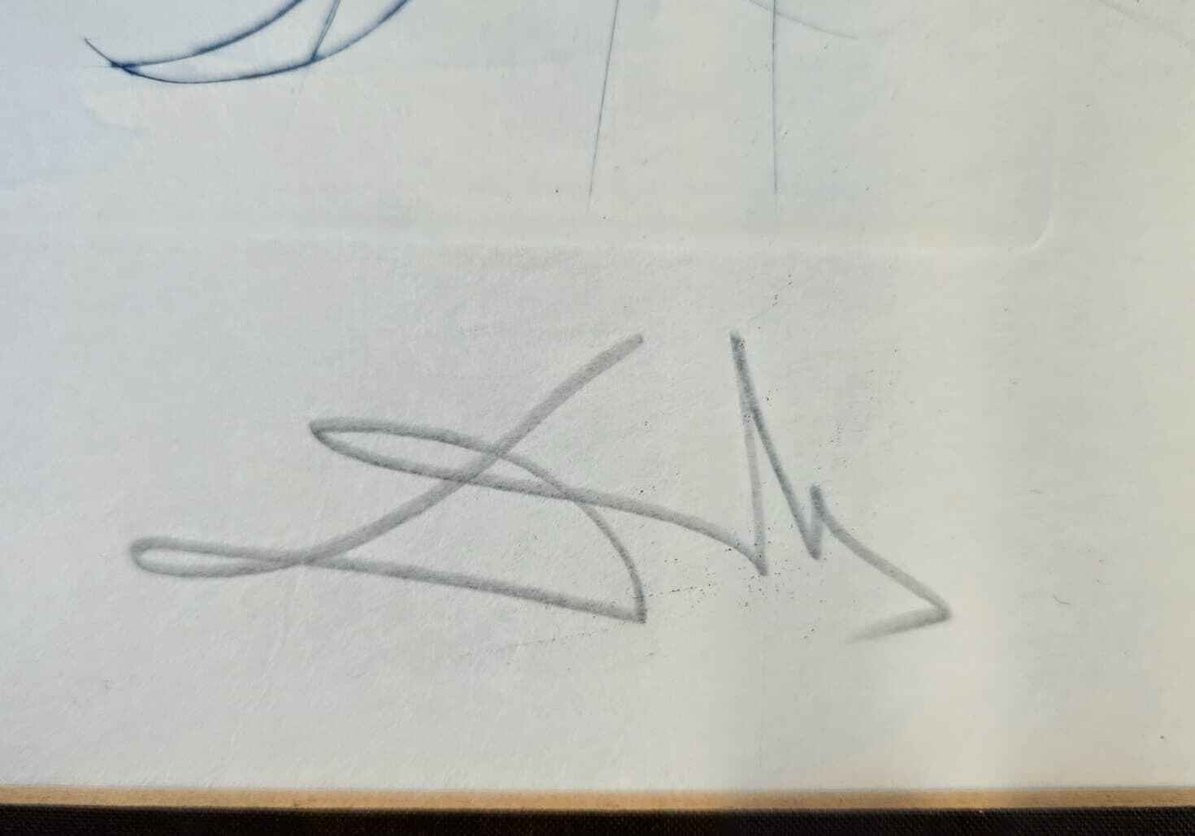 Salvador Dalí – 5 Farbradierungen Set – Bild 3