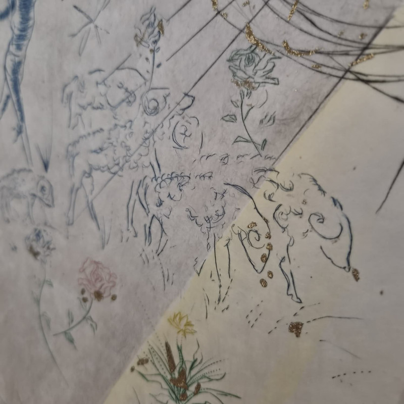 Salvador Dalí – 5 Farbradierungen Set – Bild 25
