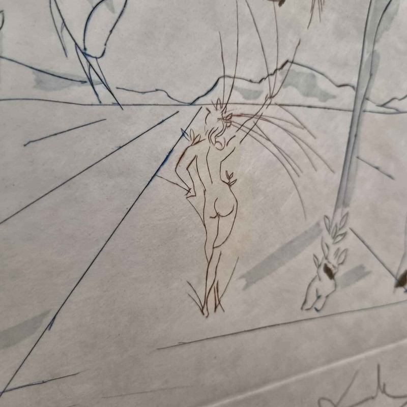 Salvador Dalí – 5 Farbradierungen Set – Bild 26