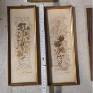 Strohblumenbilder Set